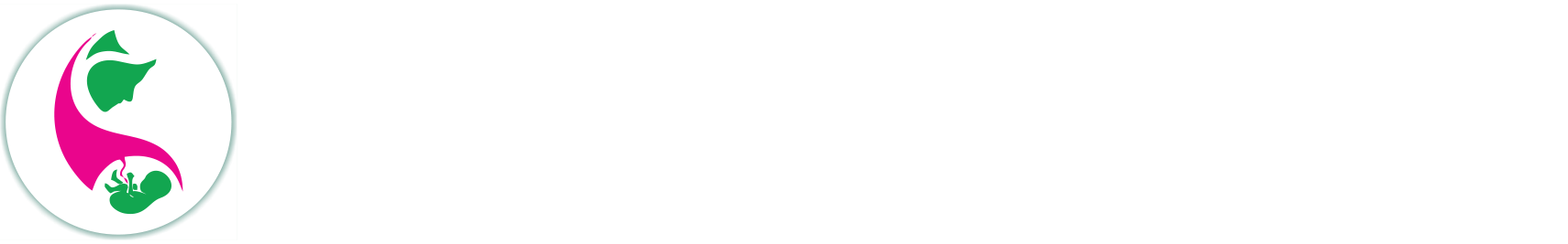 LOGO-footer